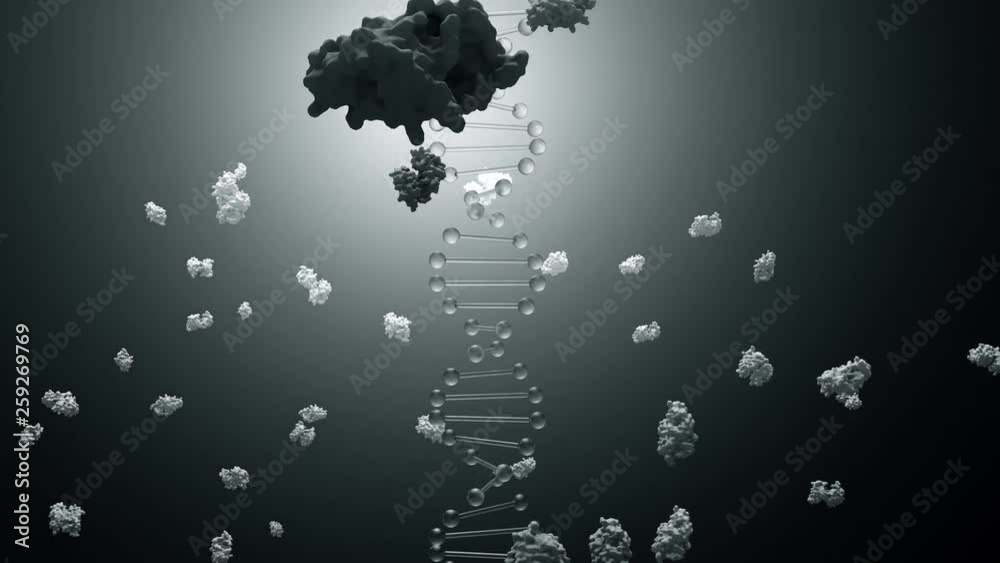 Wall mural dna encoding for proteins