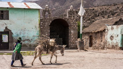 Woman carry her backload donkey by the square of Andagua in the volcanos valley, Arequipa, Peru