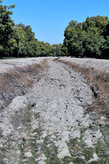 Dried out river bed