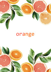 Orange and leaves illustration