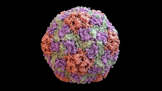 Hepatitis A Capsid based on PDB : 4QPI, 360 degree rotation loop
