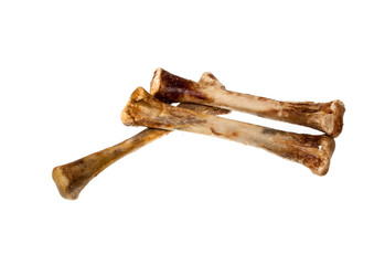 bone isolated on white background