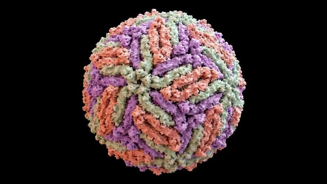 Zika Virus Envelope Structure based on PDB : 5IRE, 360 degree rotation loop 