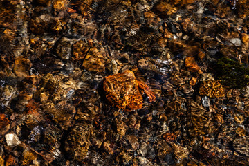 Bachlauf mit klarem Wasser