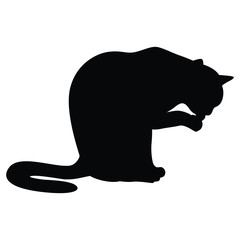 Vector illustrations of silhouette of a cat sitting and washing 