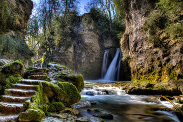 Tine de Conflens 