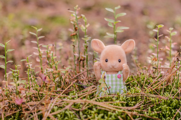 Cute toy bunny in the grass in the woods.