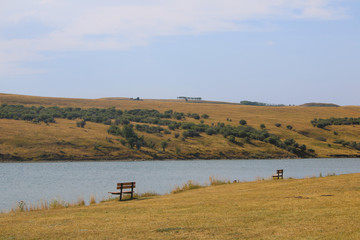 View of the river