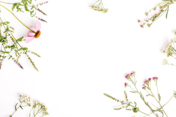 Echinacea, Yarrow, medicinal herbs background, flat lay, top view