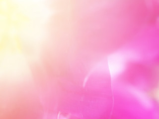 Soft Flower Background © pattymalajak