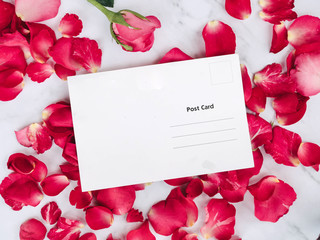 White paper postcard over rose flowers with space for text or image.
