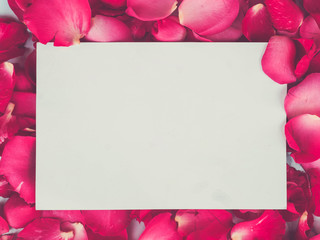 Fototapeta premium White paper postcard over rose flowers with space for text or image.