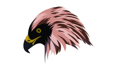 Obraz premium eagle head with originals colors