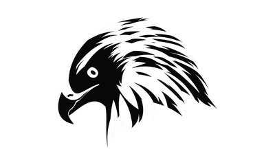 Obraz premium eagle head with black and white colors