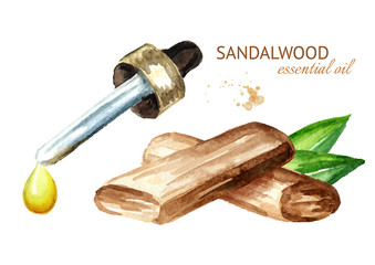Obraz na płótnie Canvas Drop of Sandalwood or Chandan essential oil and Sticks with green leaves. Watercolor hand drawn illustration isolated on white background