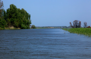 Beautiful spring landscape Delta of the Volga. Astrakhan Region. Wild nature of Russia.