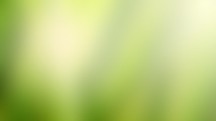 Nature green blur background