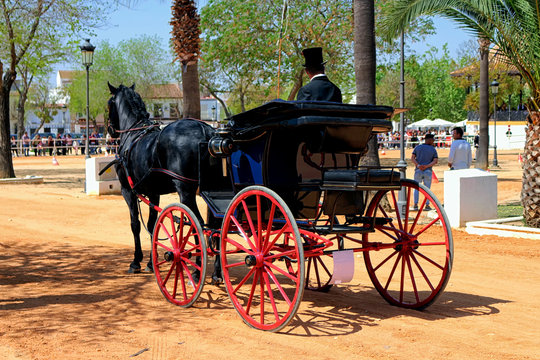 Carriage Driving by a black Horse