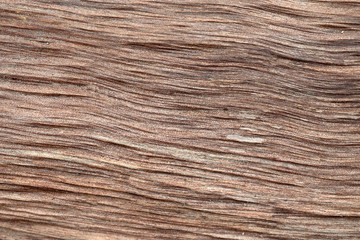 Fototapeta premium Wood Texture Abstract Background with blank space for text and image can use for background design.