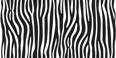Fototapeta na wymiar stripe animal jungle texture zebra vector black white print background seamless repeat