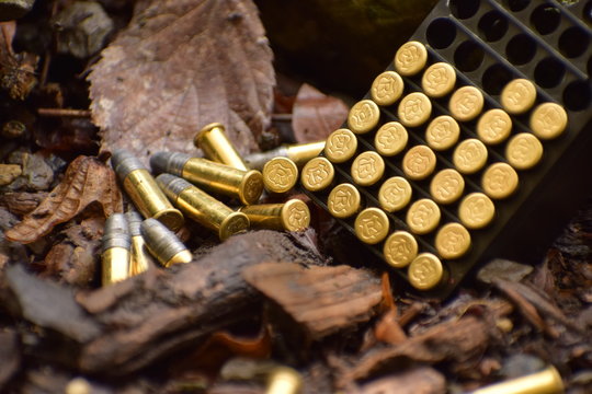 Munition im wald