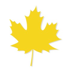autumn maple leaf vector on a white background