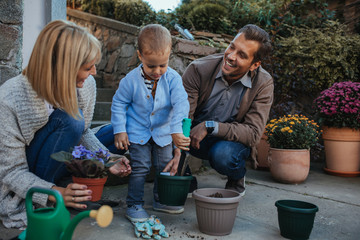 Family gardening