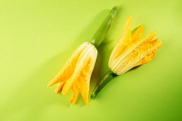 Two zucchini flowers