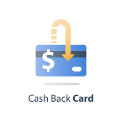 Credit card, payment method, bank services, easy loan, cash back program, saving money, financial solution, bank card, dollar currency, deposit and withdraw, transaction security, vector icon