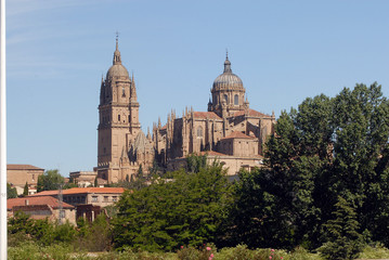 Fototapeta na wymiar Images of Salamanca in Castilla y Leon. Spain