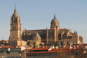 Fototapeta premium Images of Salamanca in Castilla y Leon. Spain