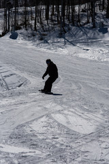 Snowboard. Holidays in the mountains.