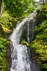  Early summer, Aomori Prefecture Oirase mountain stream