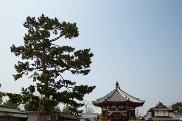 Nan'en-dō, Kōfuku-ji, sky and Japanese black pine