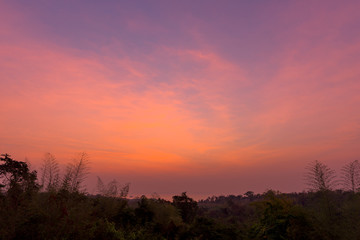 Fototapeta na wymiar Sunset sky over trees