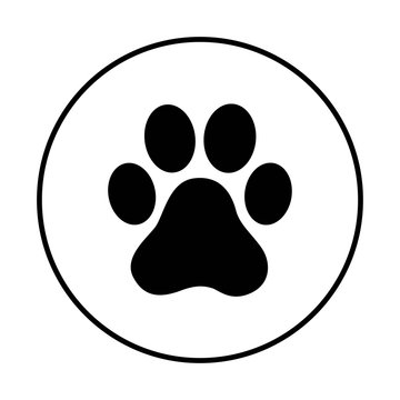 Paw print vector on white background
