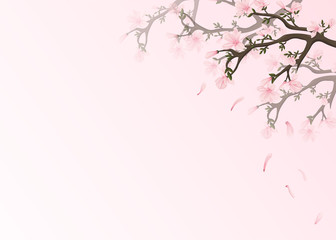 Background with blooming pink magnolia