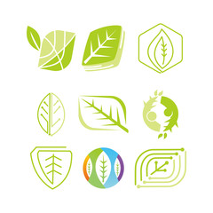Leaf Logo Design Vector Template Set