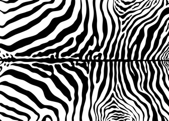 Zebra pattern design. Zebra print vector illustration background. wildlife fur skin design illustration. For web, home decor, fashion, surface design - obrazy, fototapety, plakaty