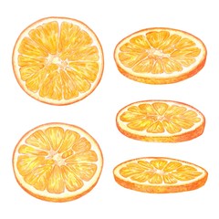 Set of fruit illustrations with Orange in watercolor. Sweet and fresh fruit elements for menu, greeting cards, wrapping paper, cosmetics packaging, labels, tags, posters