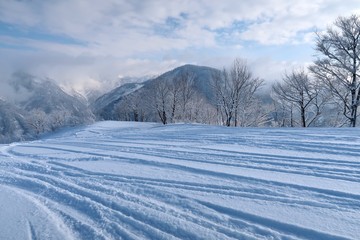 Fototapeta na wymiar 日本のスキーリゾート