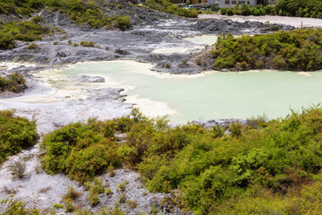 volcanic activities at waimangu