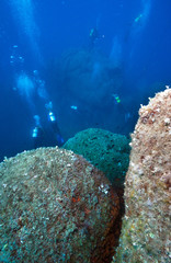 Group of divers in the Mediterranean Sea.