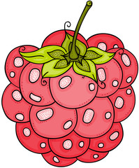 Isolated red raspberry