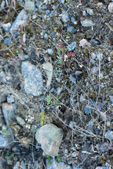 stone background full frame