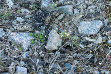 stone background full frame