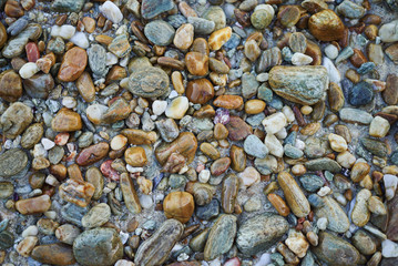 Multi color pebbles