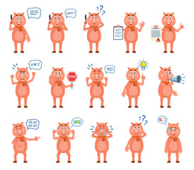 Pig characters showing various poses, actions. Funny pig talking on phone, holding stop sign, loudspeaker and showing other actions. Flat design vector illustration