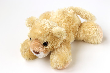 Soft toy bear is located on a white background
