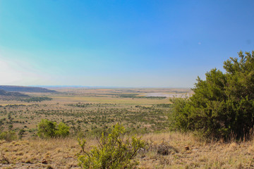 African landscape - plain in Vrystaat, South Africa